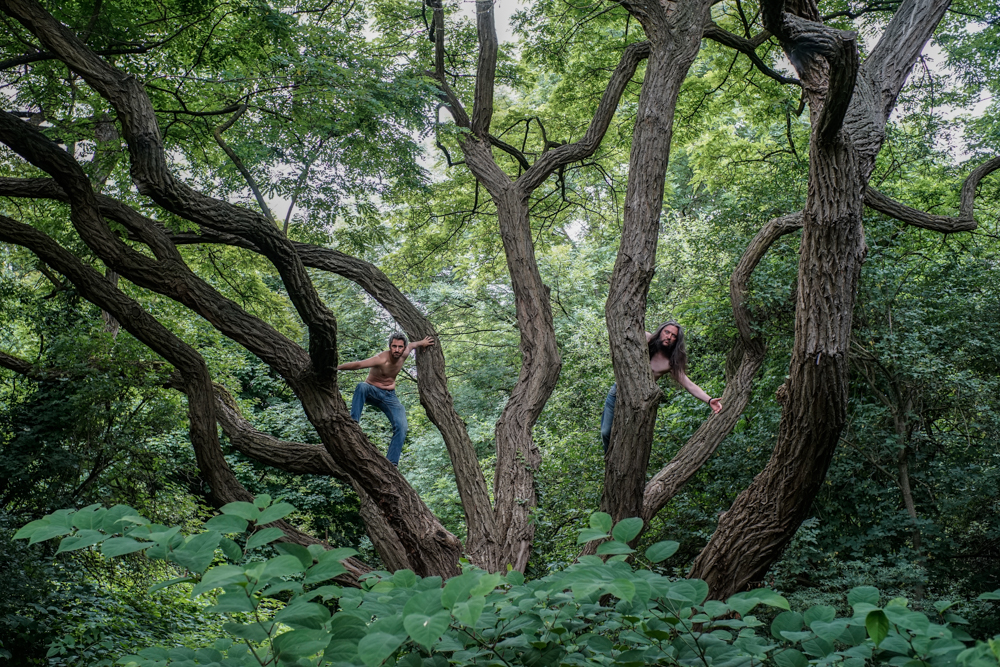 Artemot - L’homme descend de l’arbre à papa